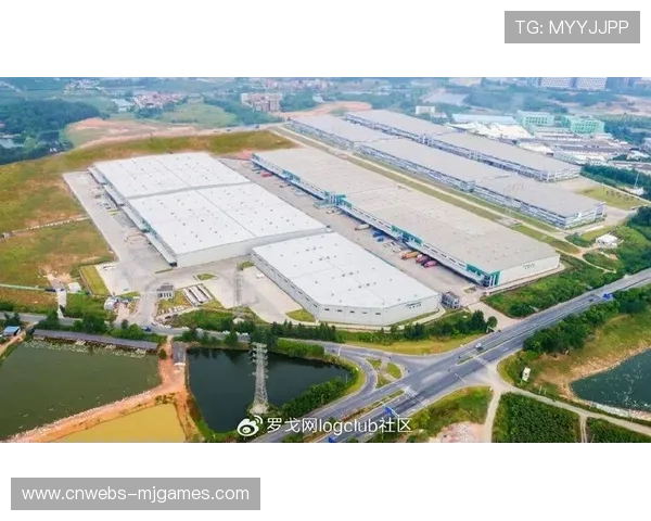 体育服务供应链出海步伐加快，跨境物流体系同步升级